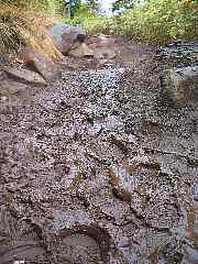 muddy road